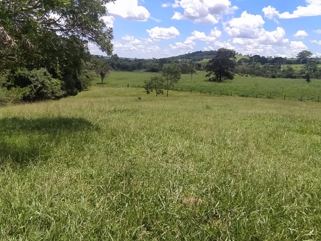 Vende-se chácara de 06 alqueires em Itauçu-Go  - Foto 5