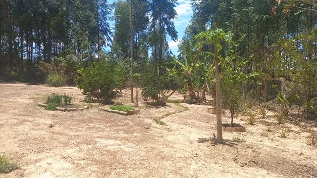 Vendo lindo sitio em felixlandia  - Foto 4