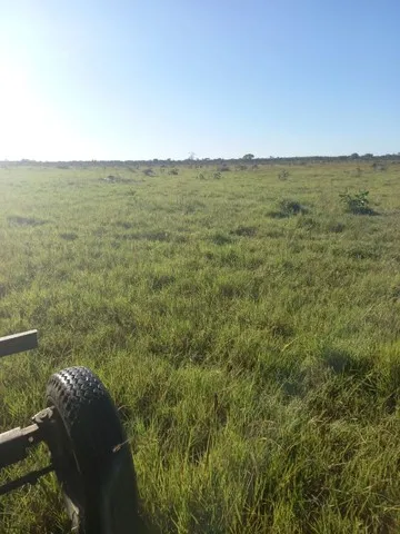 Arrendamento lavoura em Lagoa da Confusão, Guaraí e Barrolandia.