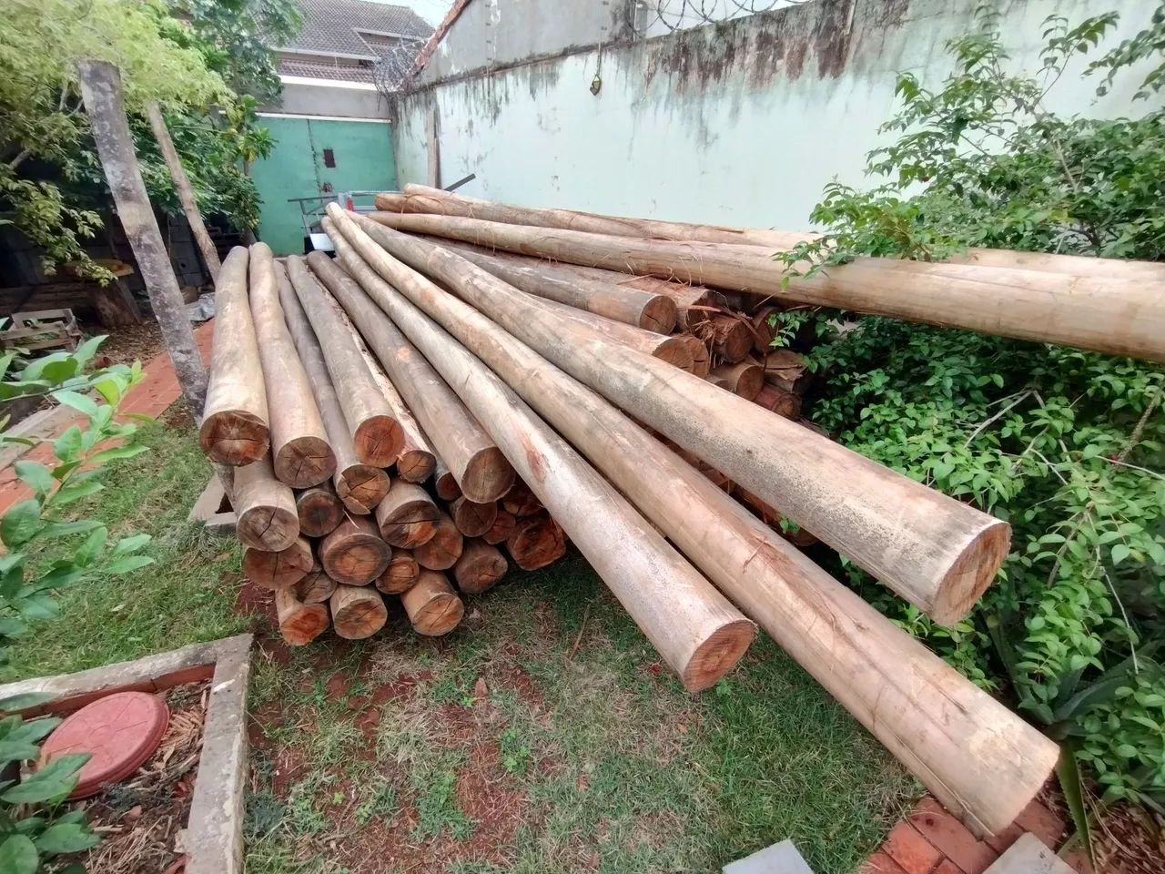 Eucalyptus Wood Posts64840817835137123