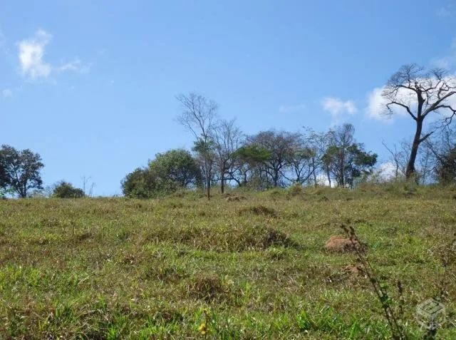 foto - Belo Horizonte - União