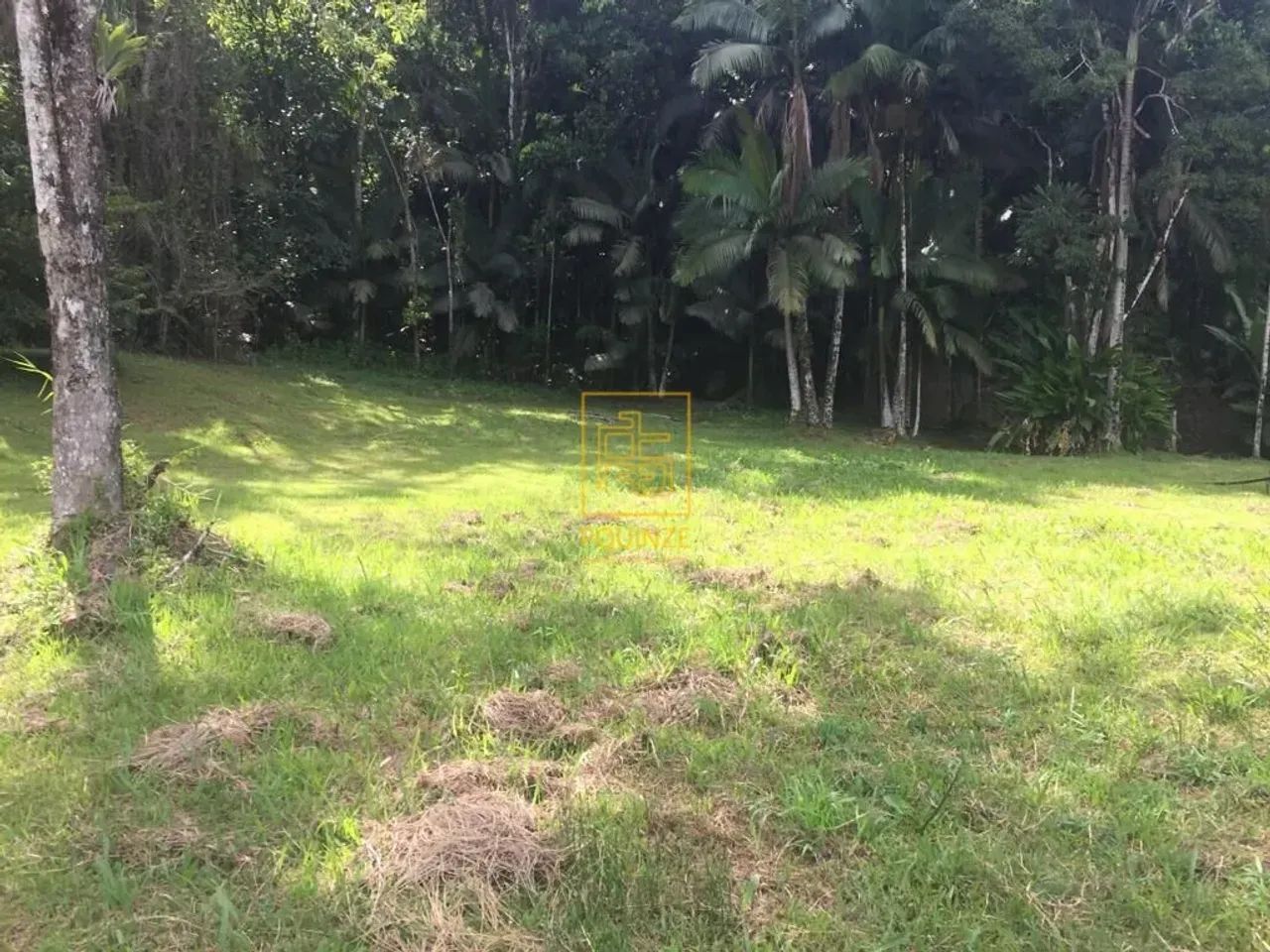 Sítio no Bairro Dona Clara em Timbó - Foto 11