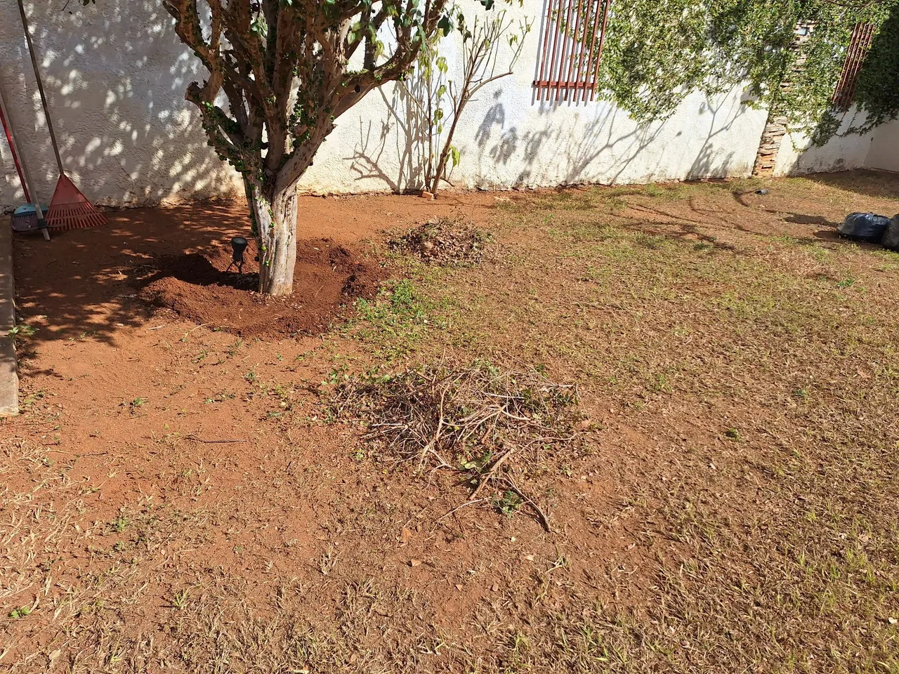 Manutenção de jardins casas e condomínios