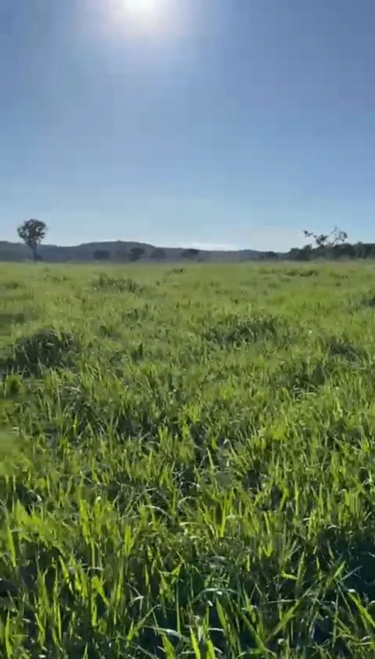 Fazenda em Ponte Alta. - Foto 3