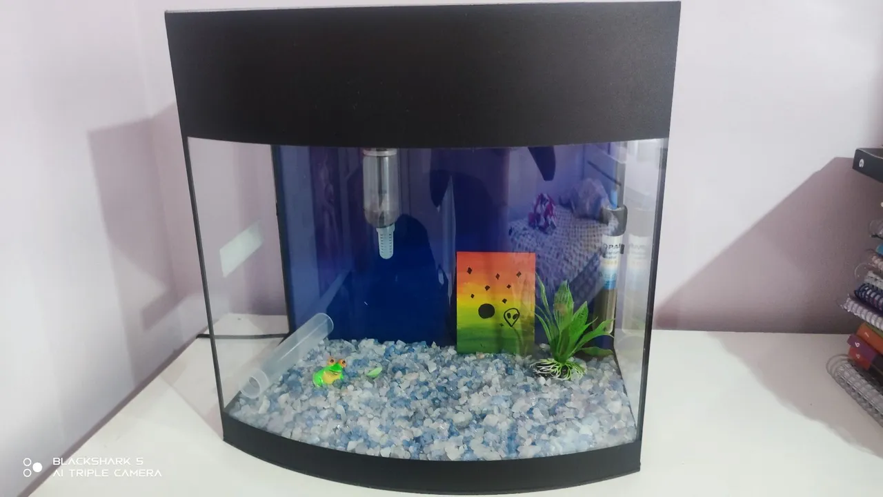 Aquario Curvo Com 40X19X40 24 Litros.<br>