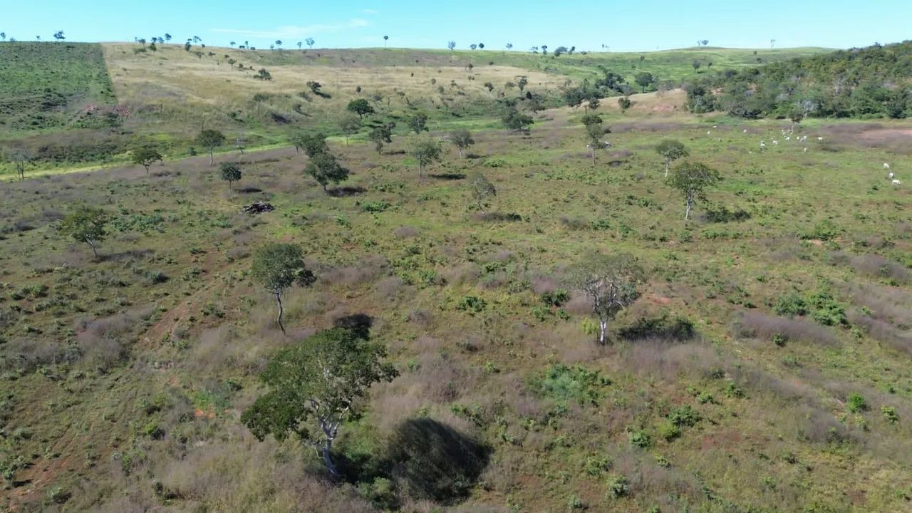 Fazenda Código 0100 - APTIDÃO PECUÁRIA  - Foto 4