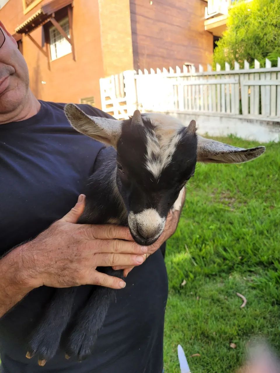 Agronegócio  - Foto 5