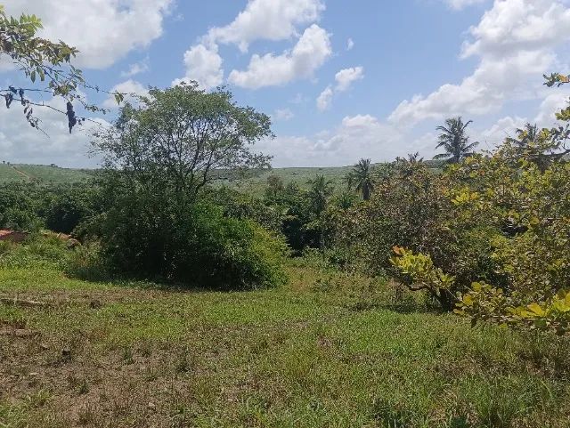 Terrenos  - Foto 3