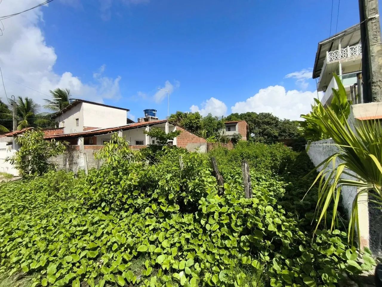 Terreno para Venda em Ipojuca, Serrambi - Foto 4