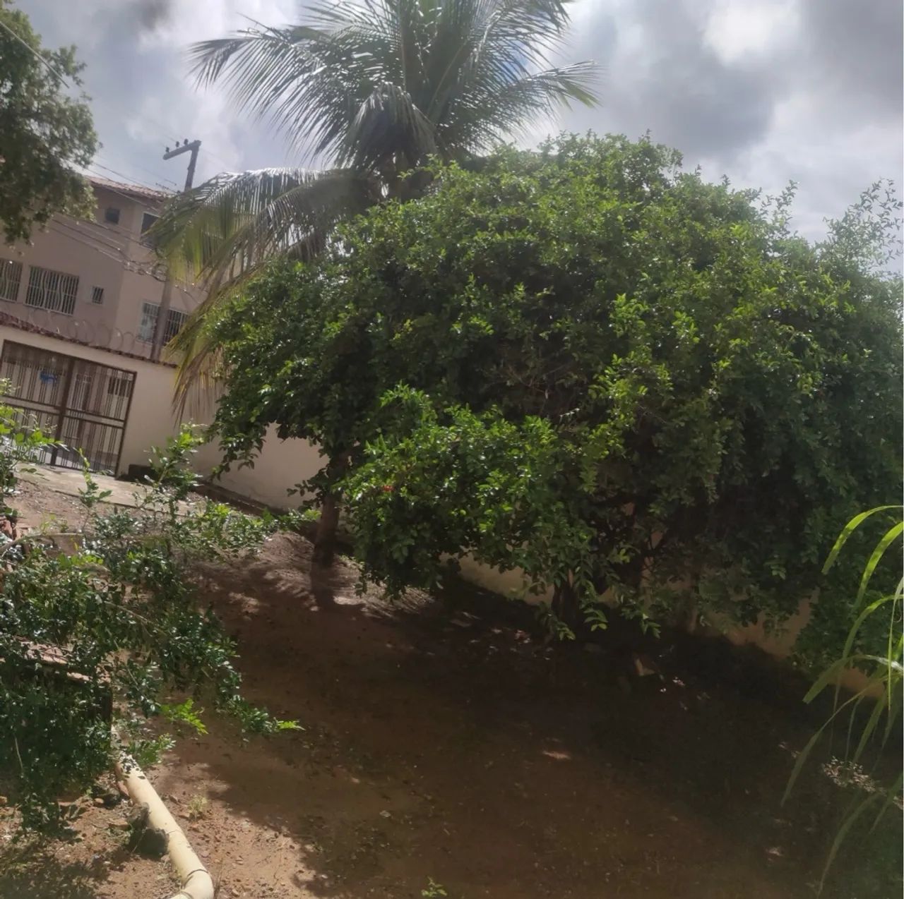 VENDO CASA DE 360 M2, BAIRRO GRÃ DUQUESA. DOCUMENTAÇÃO EM DIA E VENDA PARTICULAR  - Foto 3