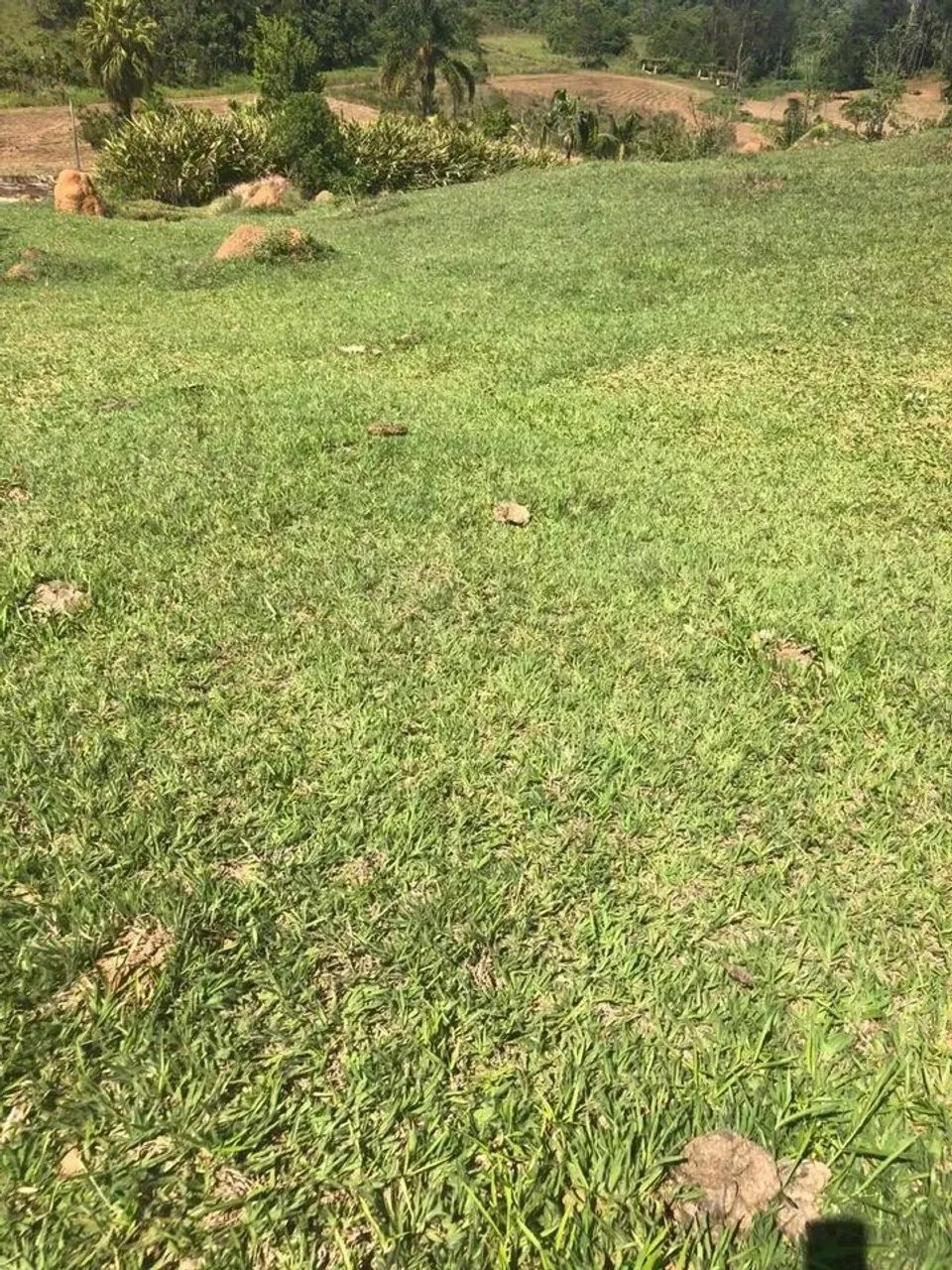TENHA SUA CASA DE CAMPO EM IGARATÁ COM FACILIDADE - Foto 4