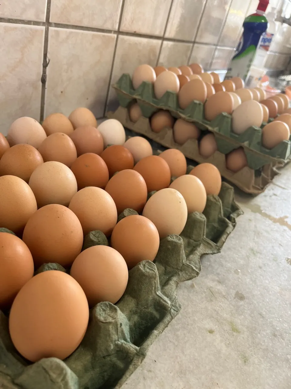 Ovos frescos caipira - Bandeja com 30 unidades