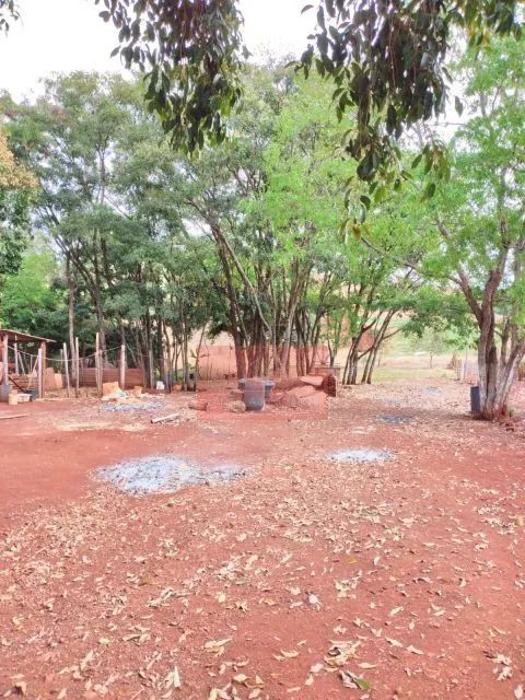 chácara em alvorada do sul - Foto 2