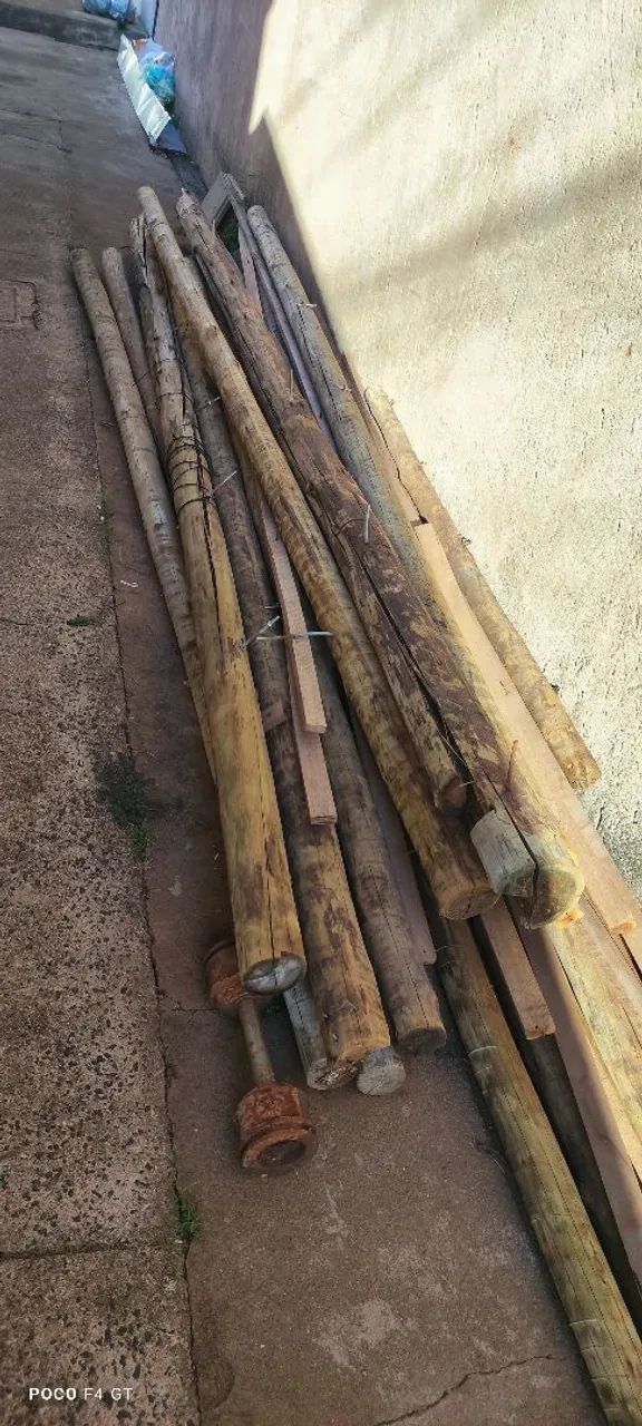 Madeira Eucalipto  - Foto 2