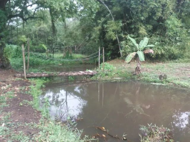 Lindo Sitio em Nova Iguaçu. Sossego, paz e segurança. 1,5 hectare - Foto 2