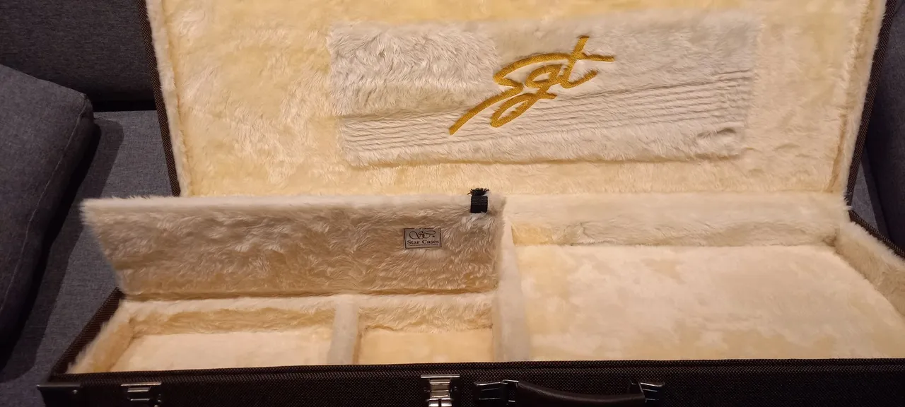 Case Rígido Luxuoso Guitarra Strato/Tele