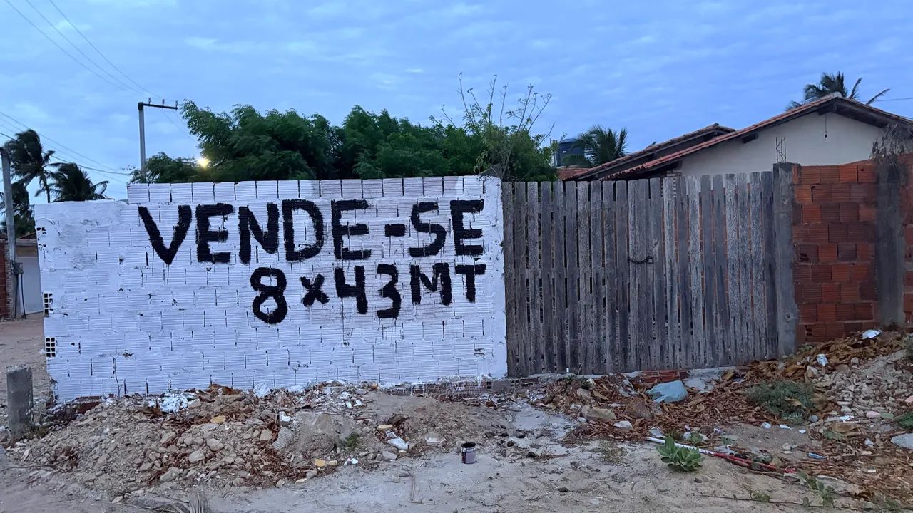 Foto - Cajueiro da Praia - 
