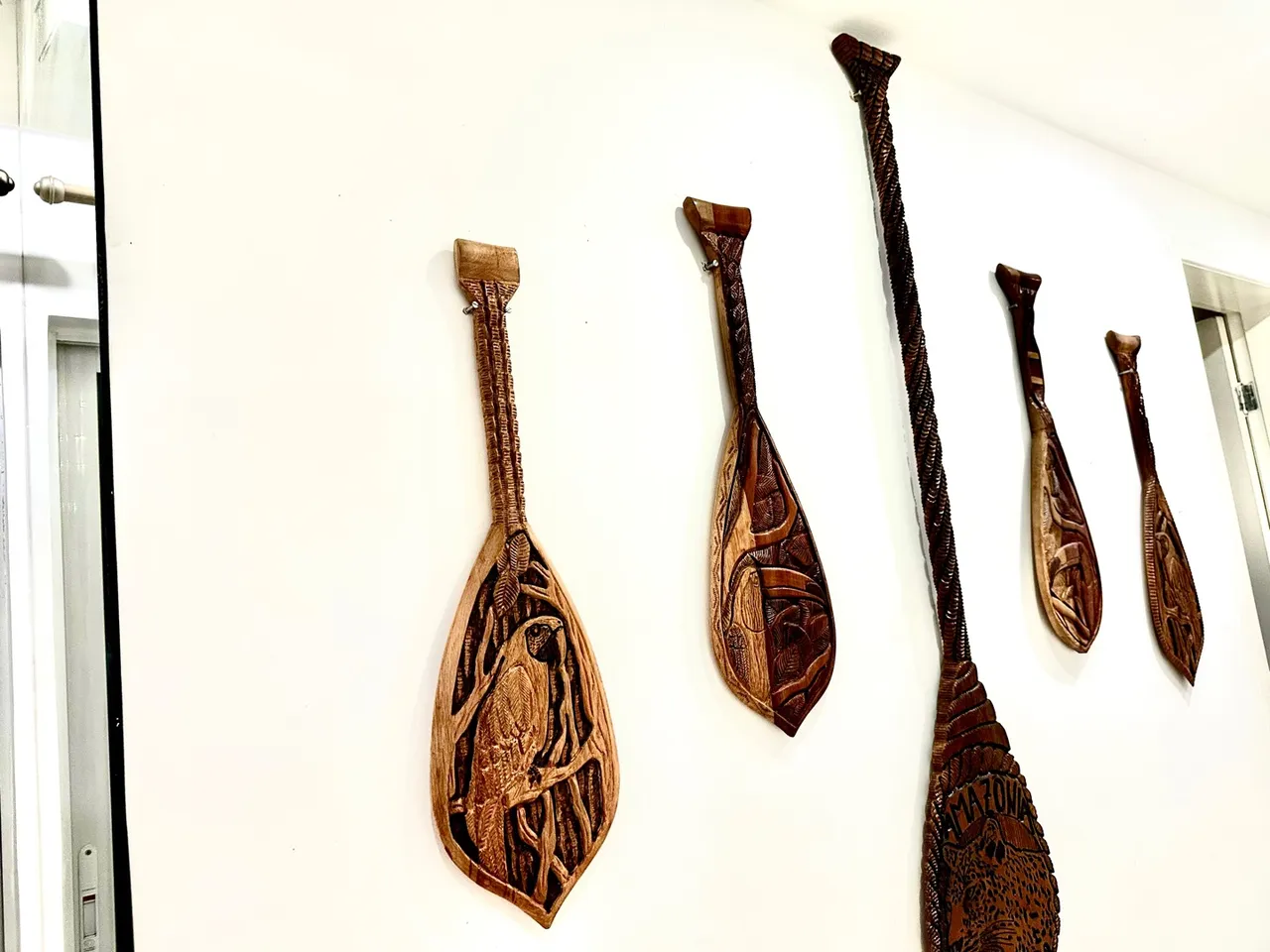 Remos Decorativos da Amazônia