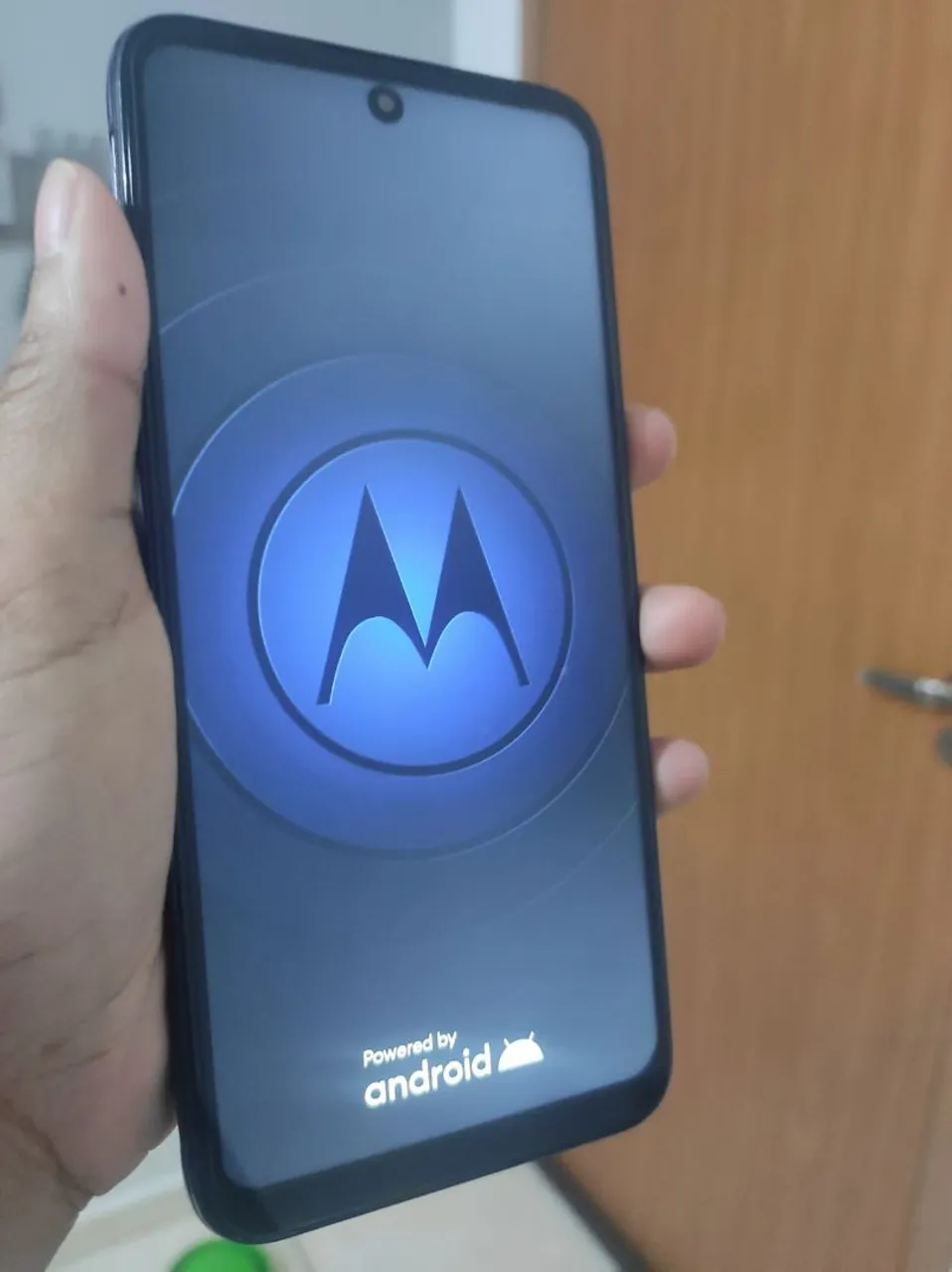 Moto g31