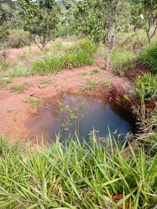 Chácara em Bela Vista de Goiás - Foto 5