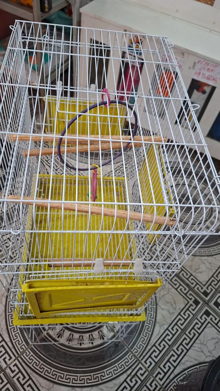 Gaiola grande - Foto 3