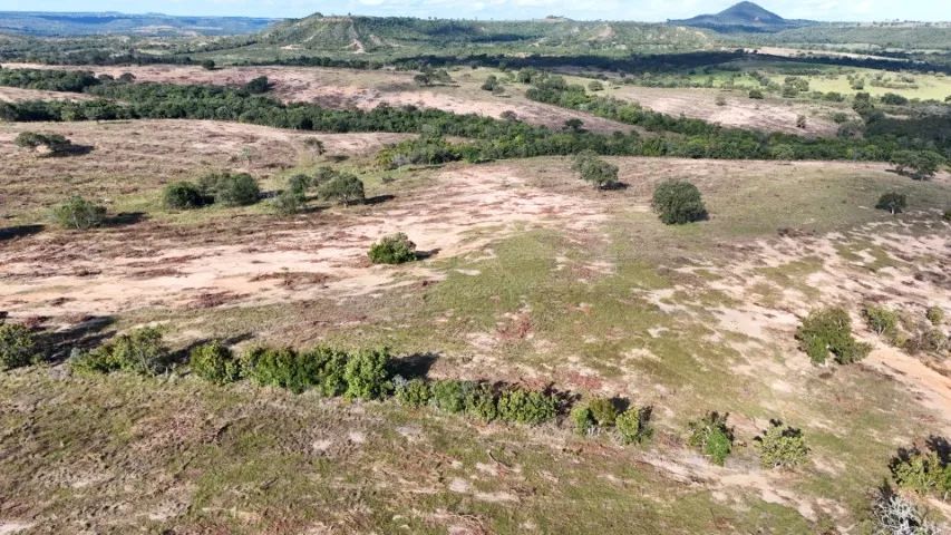 Chácara 99,9 Hectares com Bom Preço em  Camapuã - MS ! - Foto 3