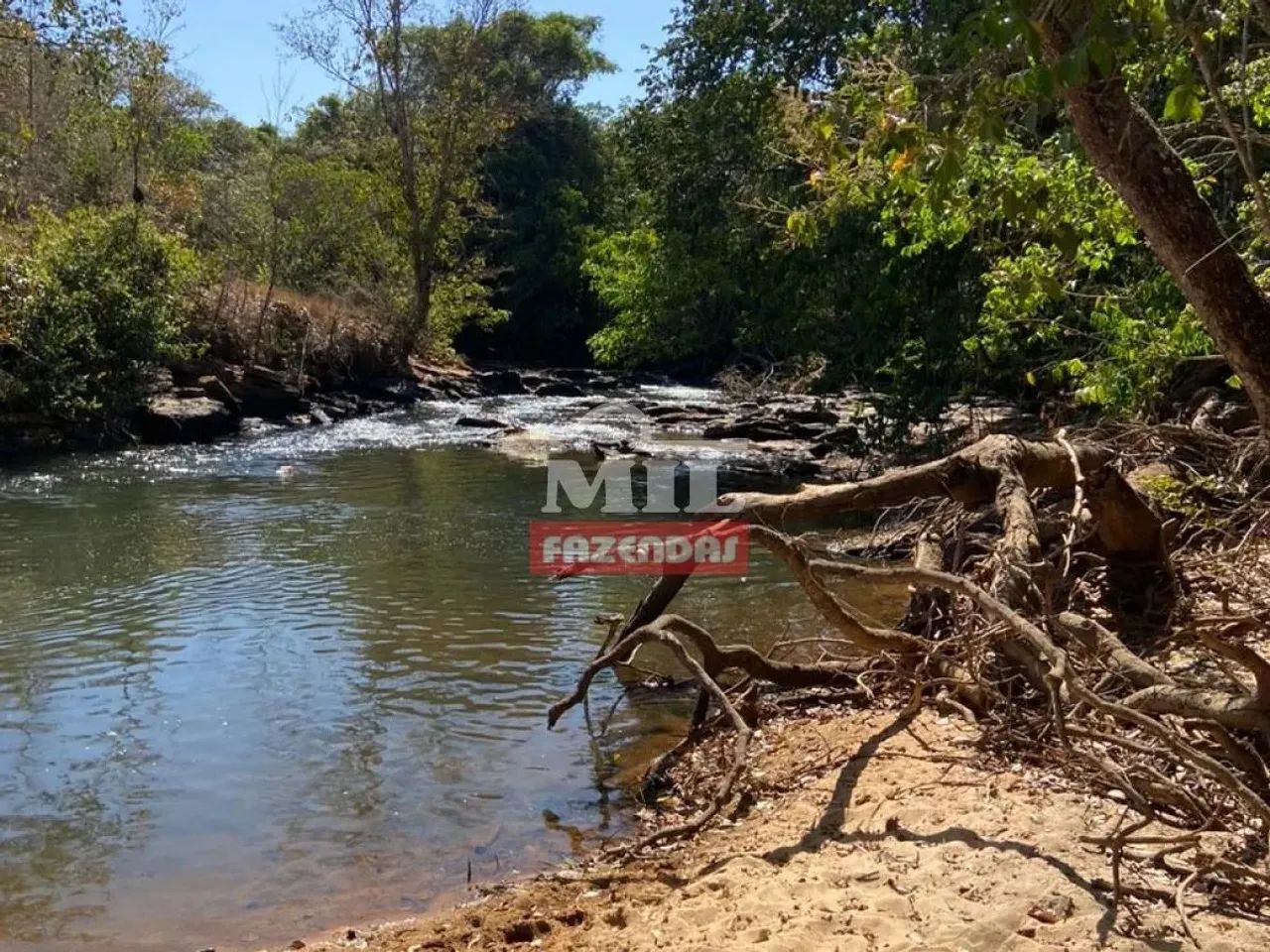 Fazenda 15 Alqueires (72,6 Hectares) Pirenopolis - GO - Foto 10