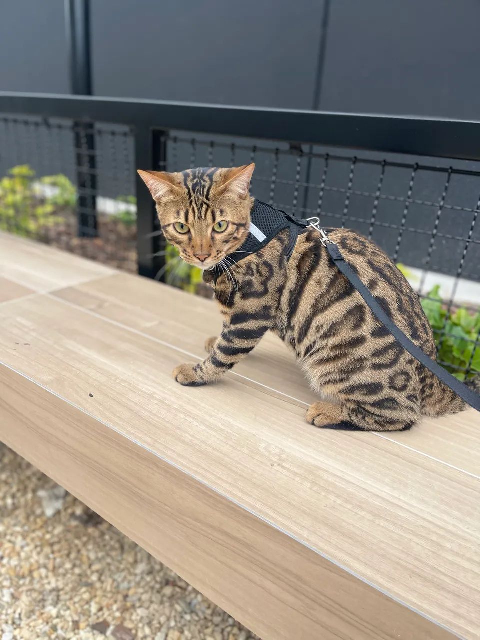 Procuro uma namorada  - Foto 3