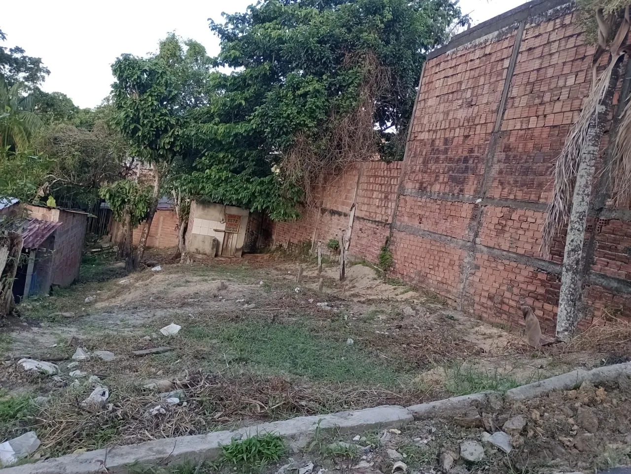 Terreno em via pública