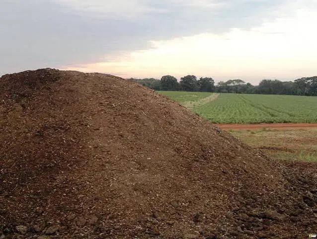 Esterco de Codorna / Galinha e Gado Nelore confinado
