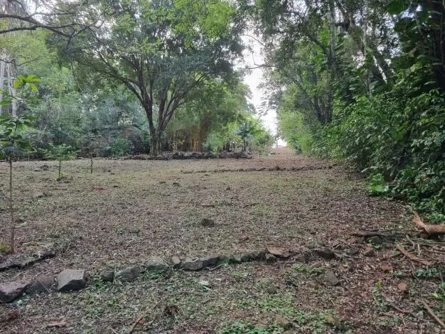Terreno 3.009m² em Foz do Iguaçu - Foto 4