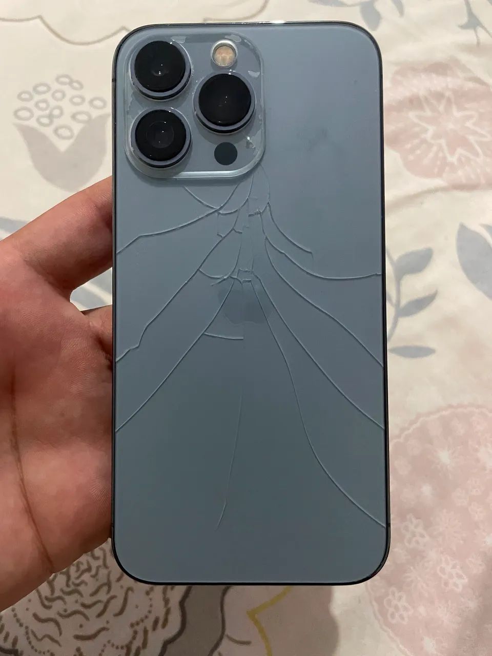 iPhone 13 Pro 256GB