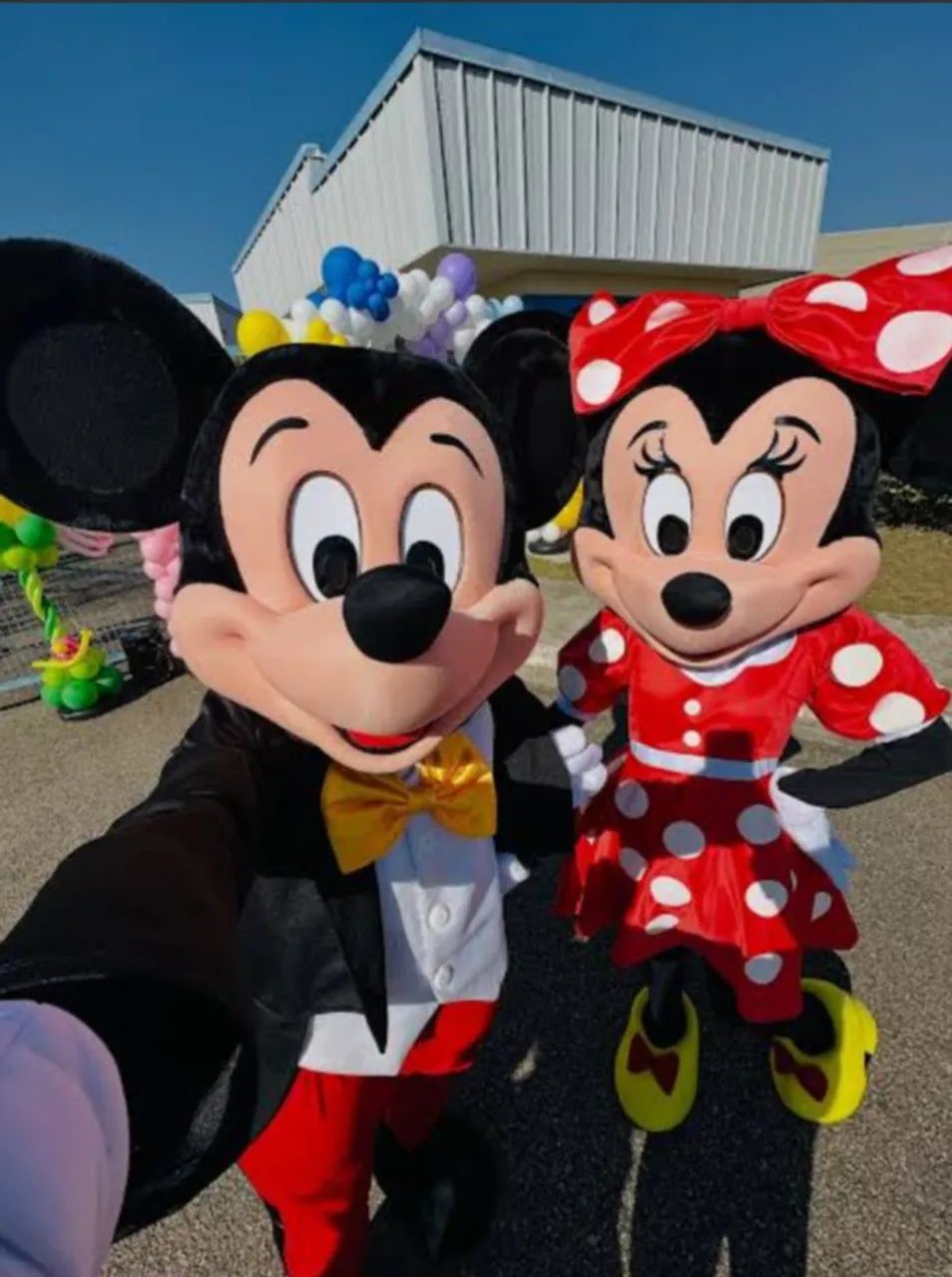 Fantasia Mickey e Minnie 