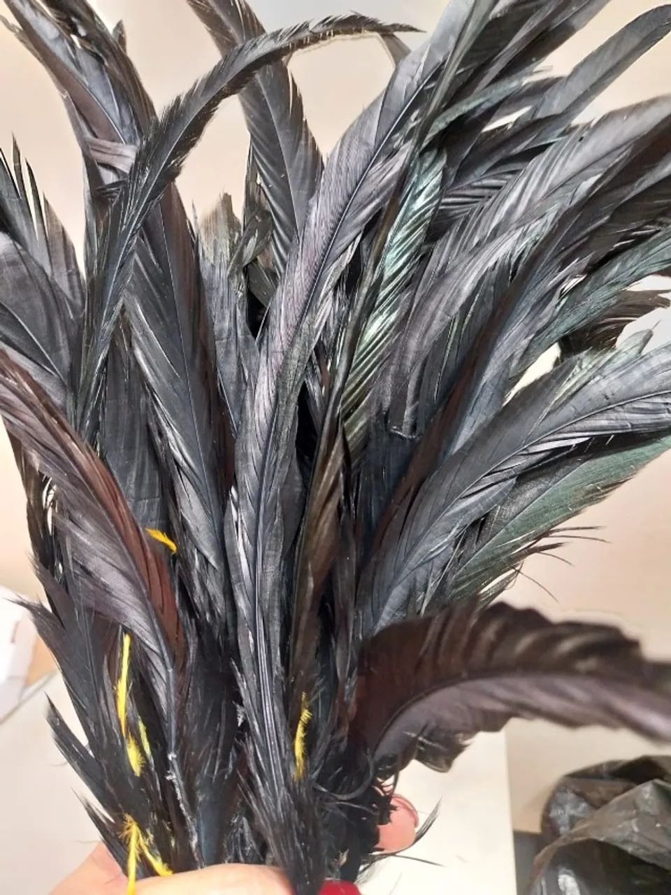 Rabos de Galo pretos 35 cm - Foto 2