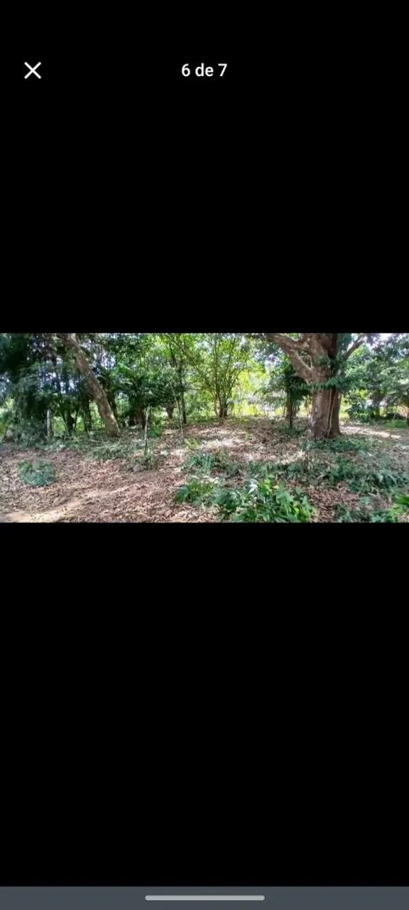 Vendo terreno urbano - Foto 4