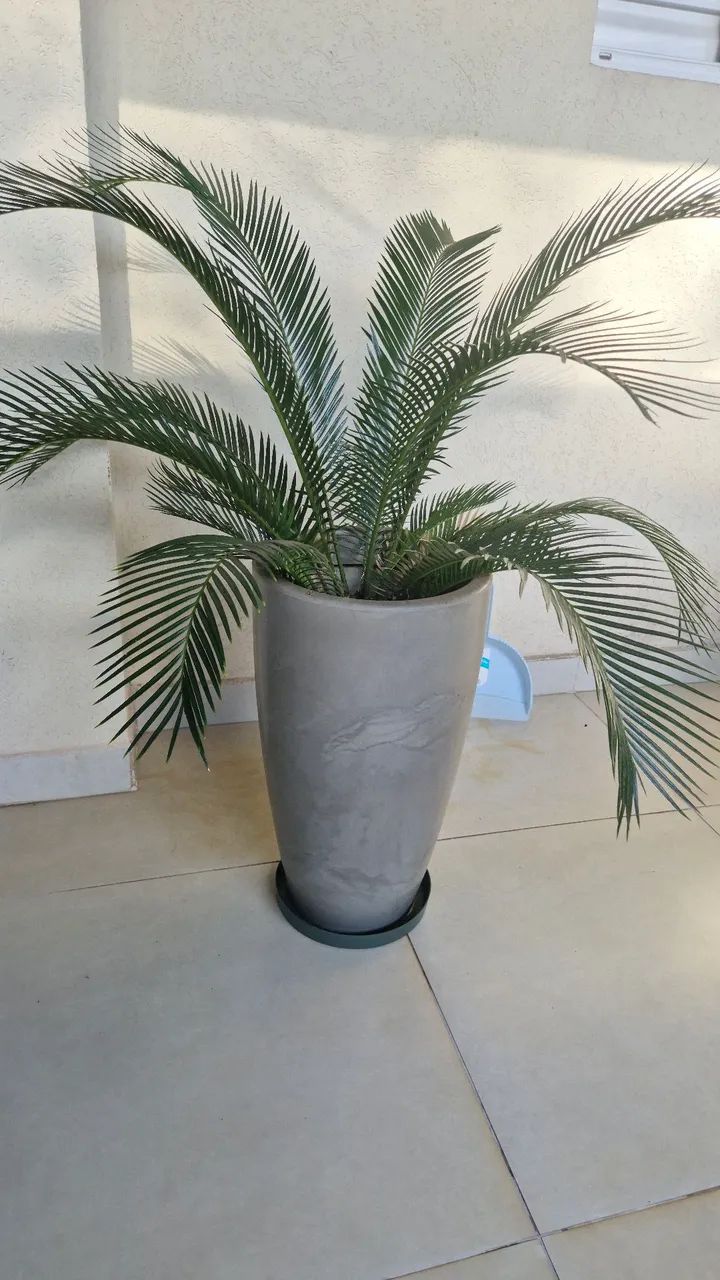 Vaso