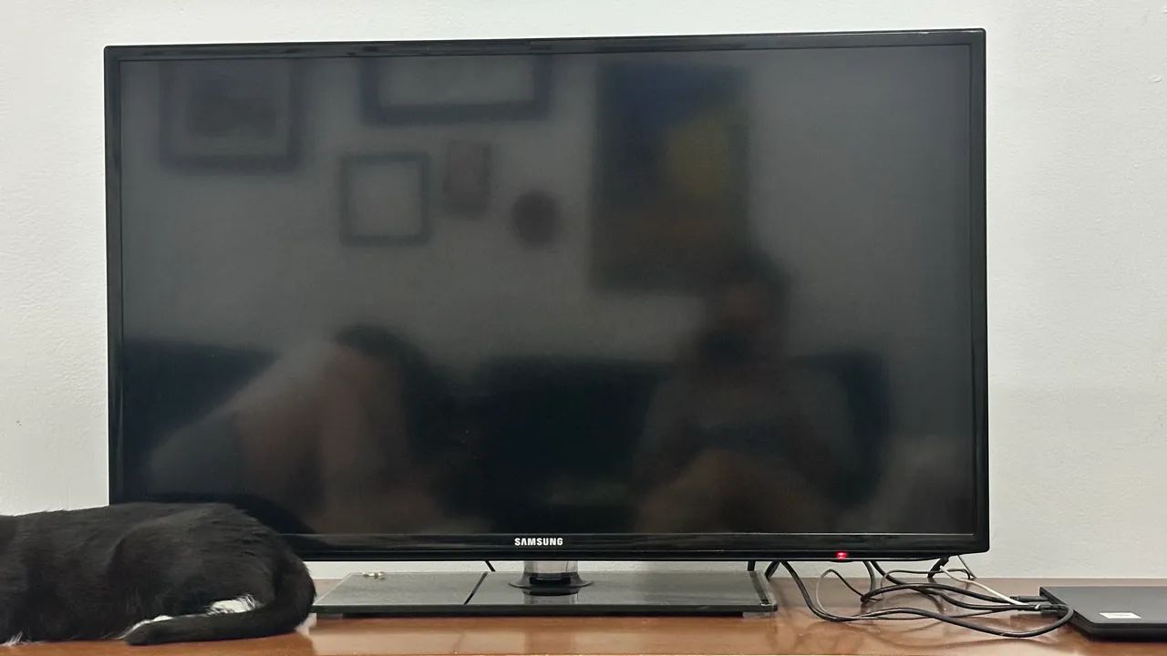 TV SAMSUNG 40 polegadas funcionando perfeitamente. 
