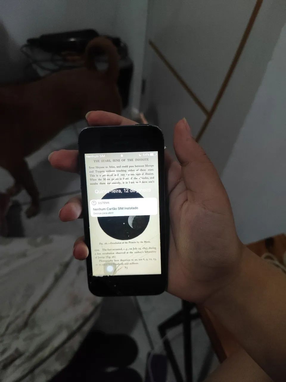 iPhone 5 - Foto 2