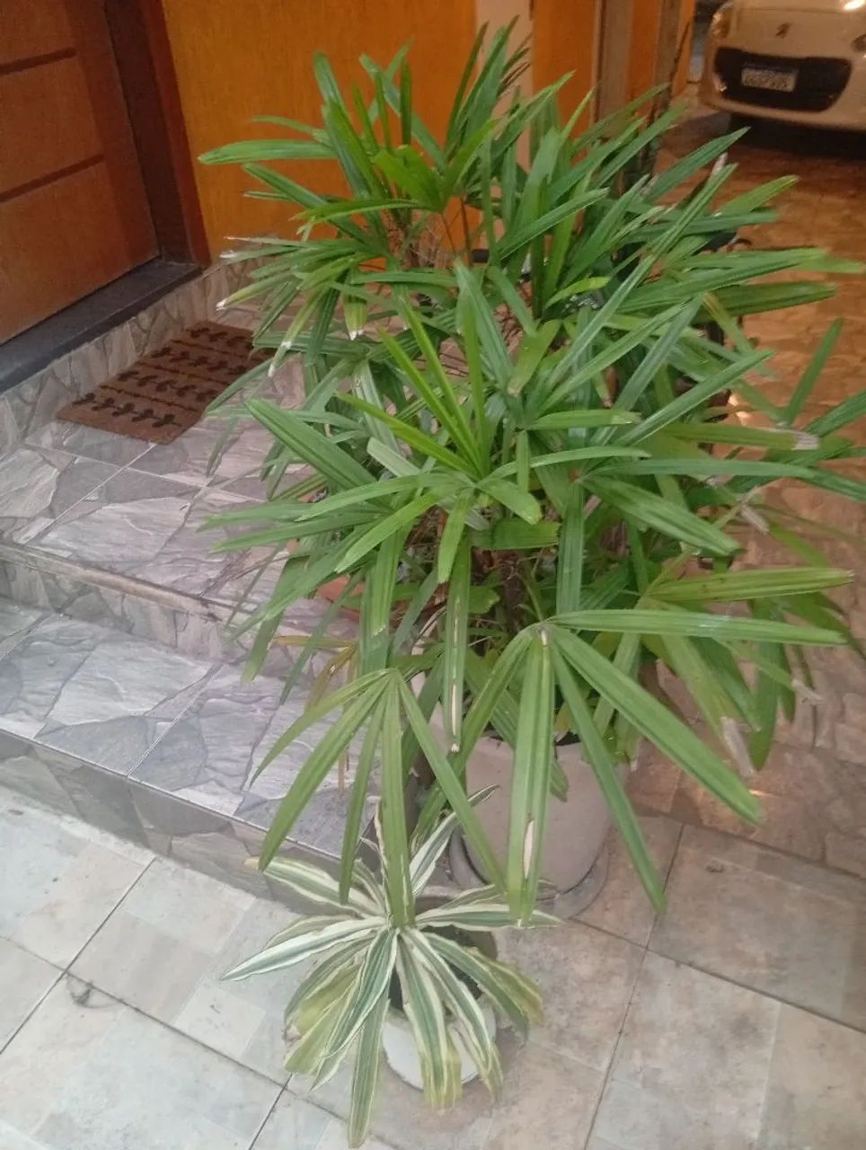 Vaso grande Rafis - Foto 2