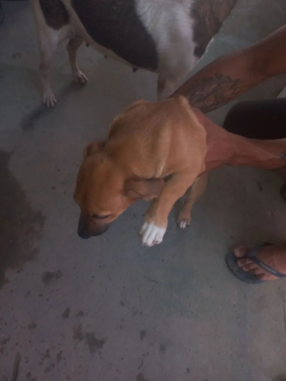 Doação  - Foto 4
