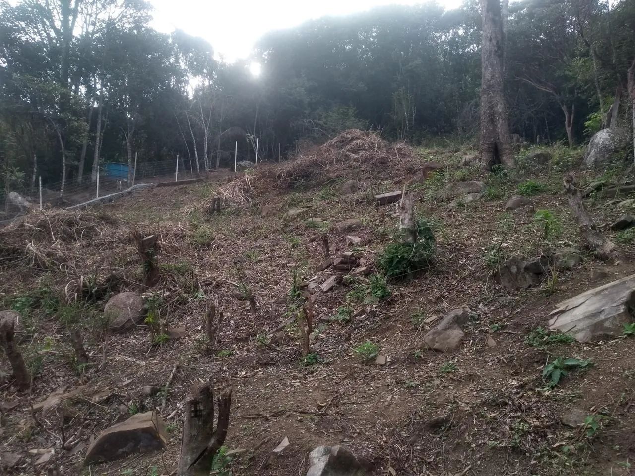 Vendo terreno na Costeira  - Foto 4