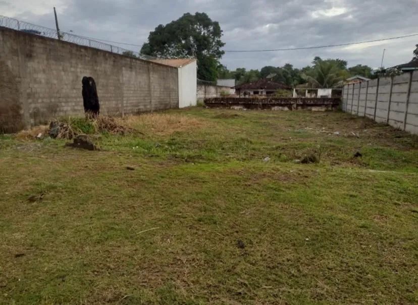 TERRENO NO ARIRAMBA  - Foto 3