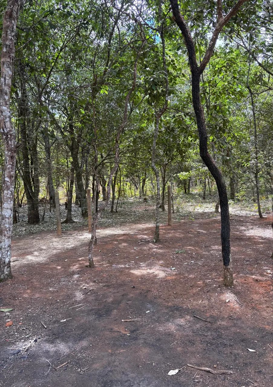 Vende-se lote em Pirenópolis  - Foto 2