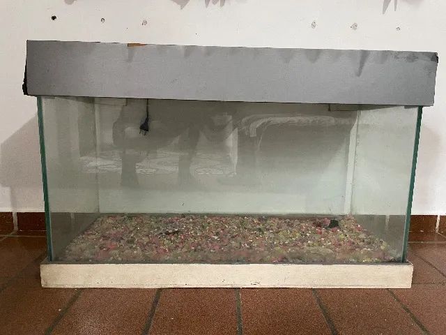 Aquário de 10 litros  - Foto 3