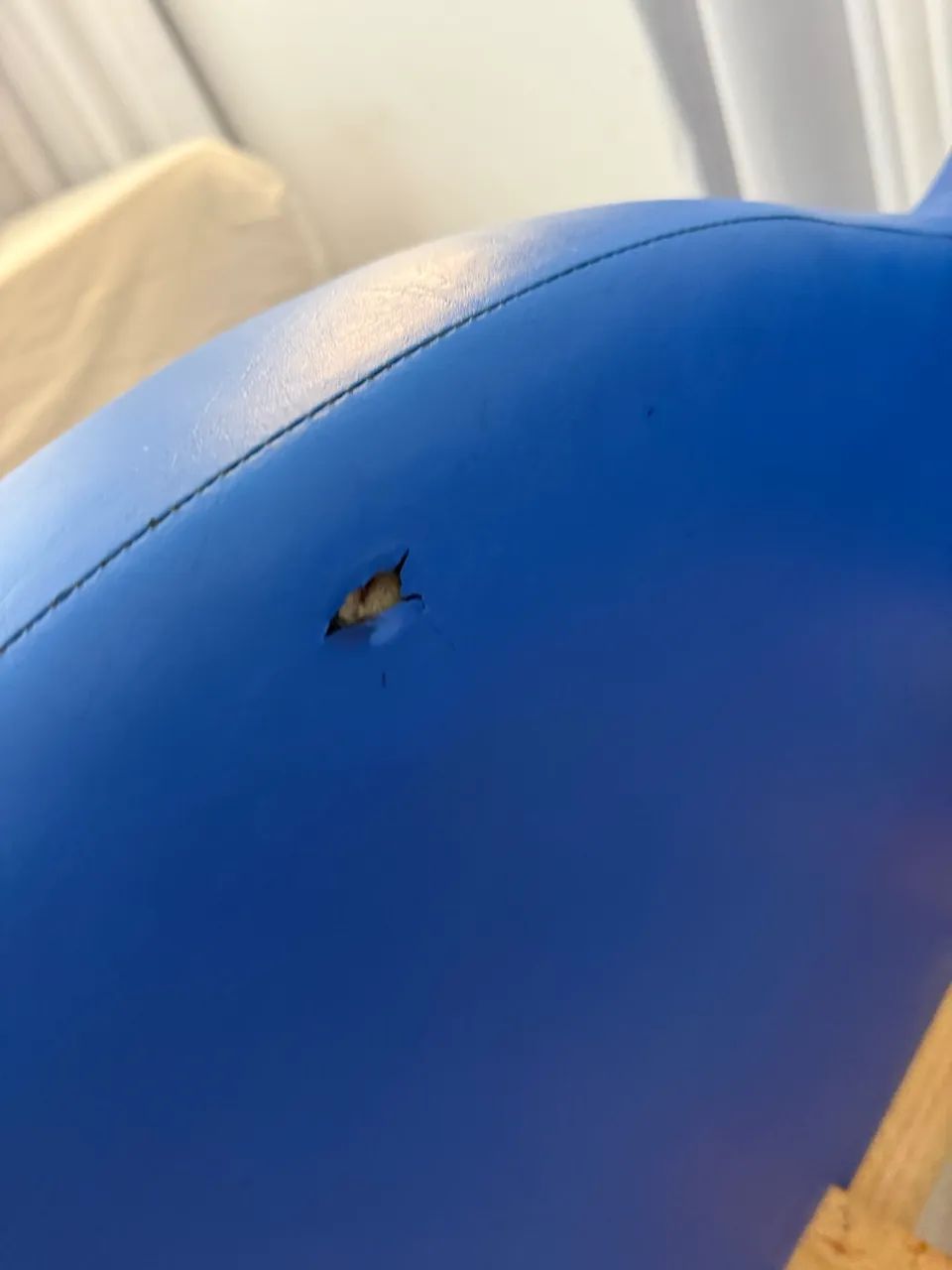 Cama carro - Foto 4