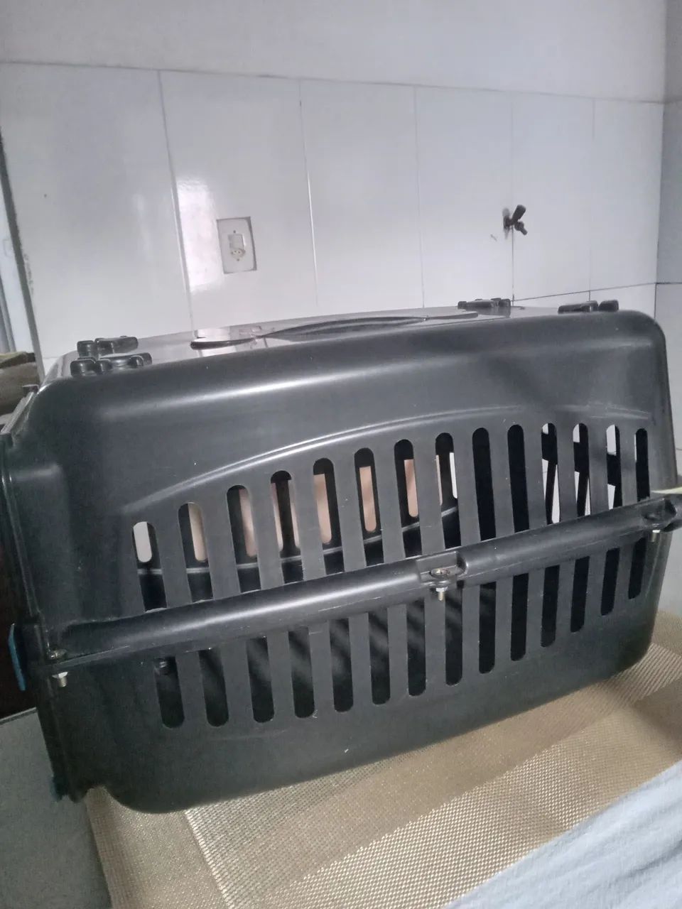 Caixa pet e gato - Cachorros - São Conrado, Aracaju 1504586127 | OLX