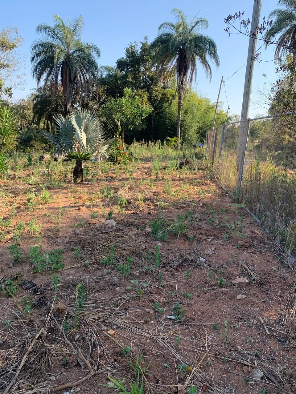 vendo chácara em Itauna município dos angicos  - Foto 2