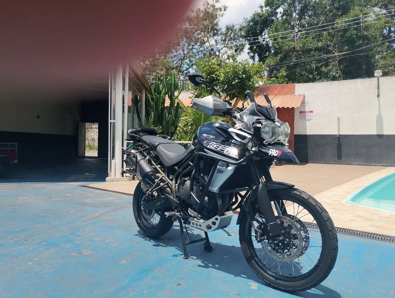 Tiger xcx - Foto 4