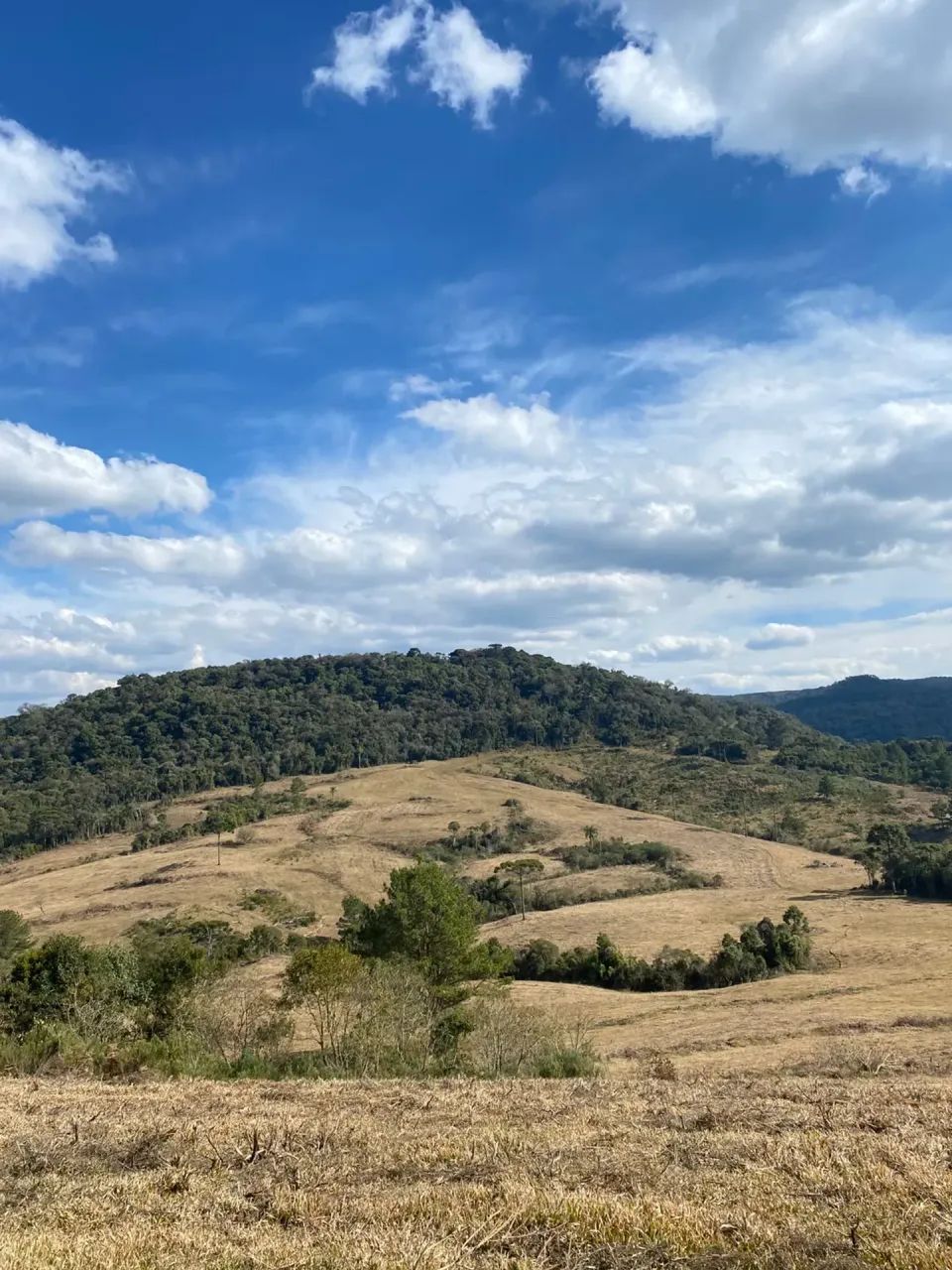 Fazenda para pecuária em Bocaina do Sul. - Foto 5