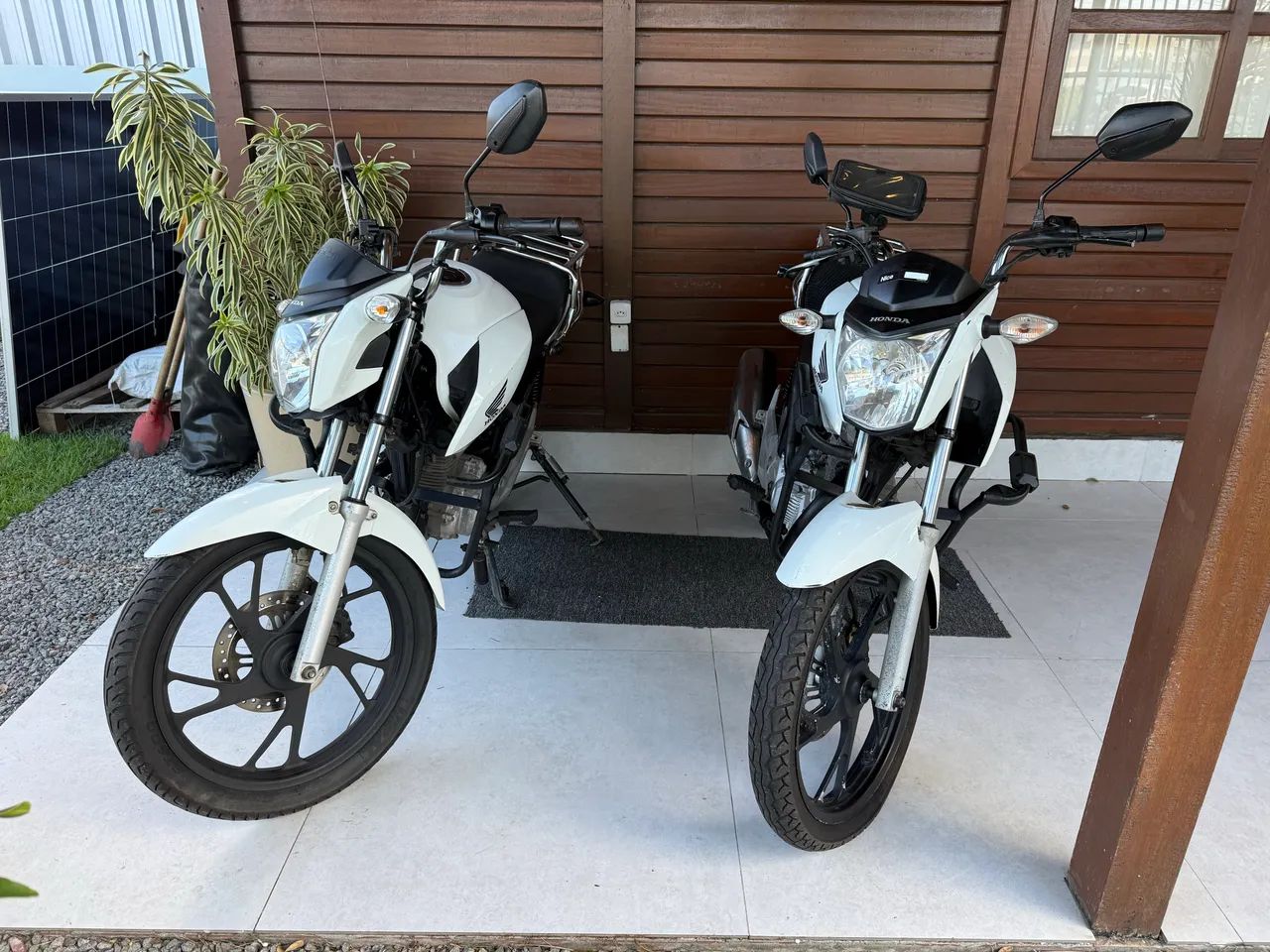 Honda Cargo